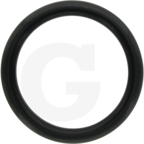 O-Ring Granit 670320030