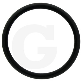 O-Ring für Filtereinsatz 28,25X2,62Mm Granit