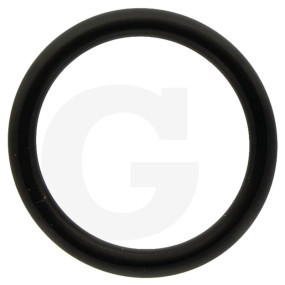 O-Ring 19 X 2.62 Granit 670390180