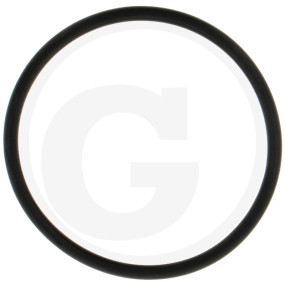 O-Ring Filtereinsatz Granit