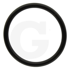 O-Ring Granit 670550040