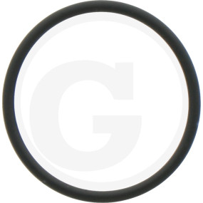 O-Ring Granit