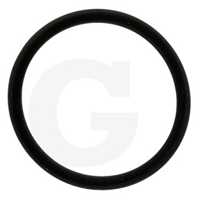 O-Ring 19X1.78 Viton Granit