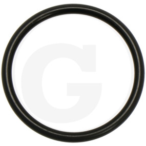 O-Ring Granit 67080001800