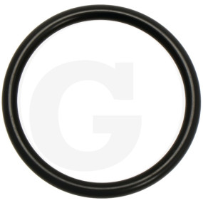 O-Ring Granit 67080002400