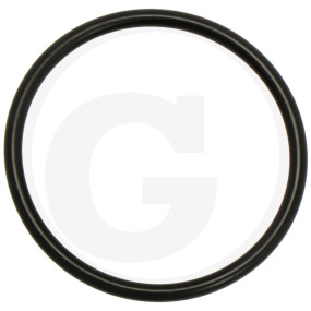 O-Ring Granit 67080004200