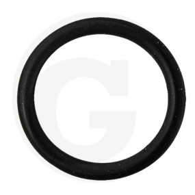 O-Ring Granit 670G11015