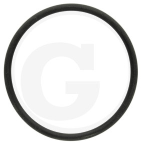 O-Ring für Filtergehäuse Granit