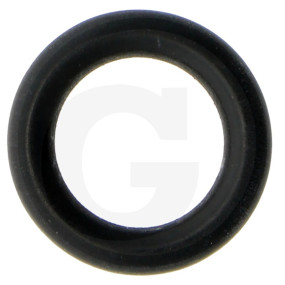O-Ring für Düsenhalter Bohrung 10Mm Granit