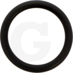 O-Ring 31 X 4,5 Granit