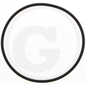 Dichtung für Druckfilter-Y- 2'' Fullpor Granit 70604104245