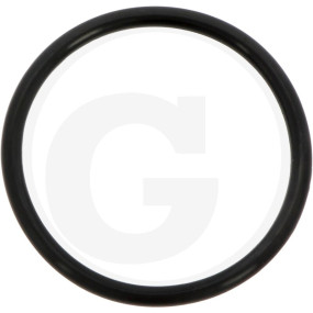 O-Ring Granit