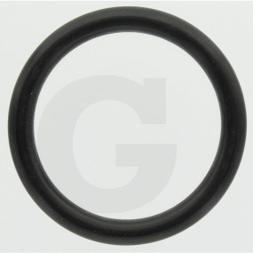 O-Ring Granit