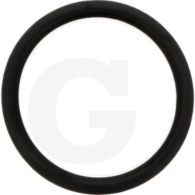 O-Ring Granit