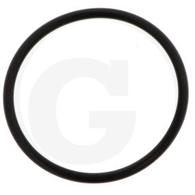 O-Ring 60X4,0 D3770 Granit