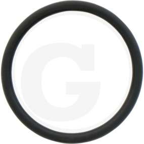 O-Ring Granit