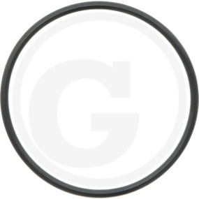O-Ring Nbr 51,00X2,50 Granit