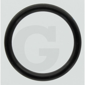 O-Ring Granit