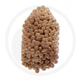Benzinfilter Granit
