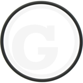 O-Ring, Fuel Inj.pump Granit