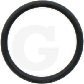 O-Ring,Cw-P Granit
