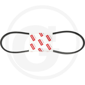 V-Belt Granit