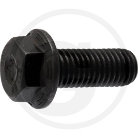 Sicherungsschraube Granit 82208292