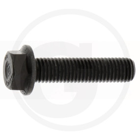 Sicherungsschraube Granit 822E08291