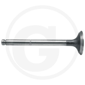 Auslassventil Granit 8303142A051