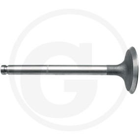 Einlassventil Granit 83031431315