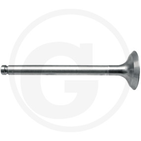 Auslassventil Granit 83031431881