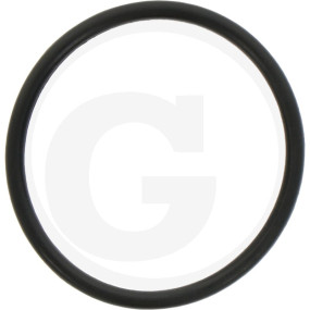 O-Ring Granit