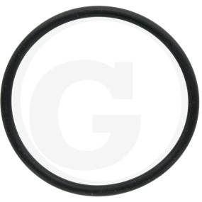 O-Ring Granit