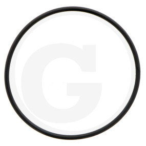 O-Ring 46,2 X 1,8 Granit