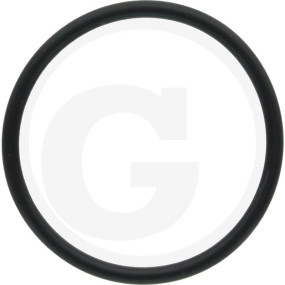 O-Ring Granit