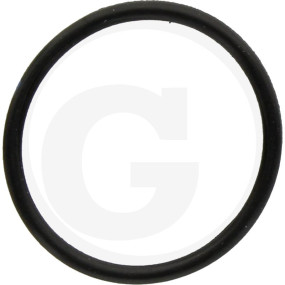 O-Ring Granit
