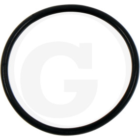 O-Ring Granit