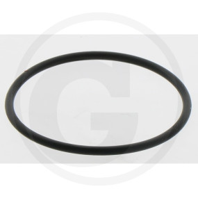 Radialdichtring Granit