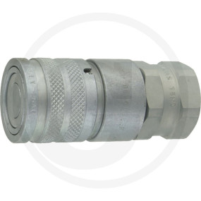 Ffh08 Muffe Ig 3/4'' Bsp Granit