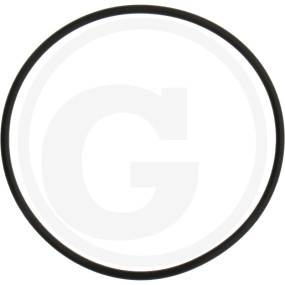 O-Ring Granit 1802200045