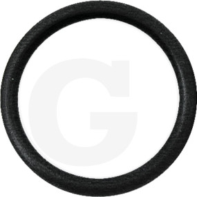 O-Ring Granit 395122363