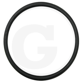 O-Ring Granit 4050020100010