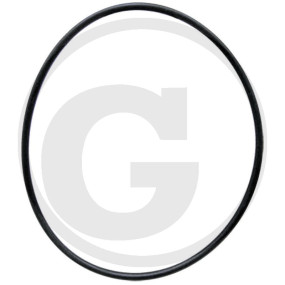 O-Ring 10'' Granit