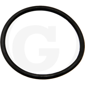 O-Ring   51X3,5Mm Granit 40504051981