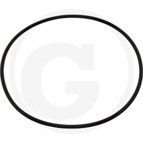 O-Ring 6'',(?I171,05 3,53) Granit 40504052183
