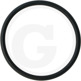 O-Ring 54X4 Aufnahmeteil/Dichtscheibe Granit 40504054055
