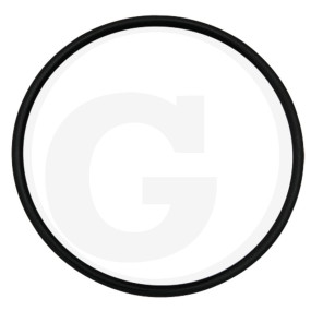Dichtring Granit 405041100002