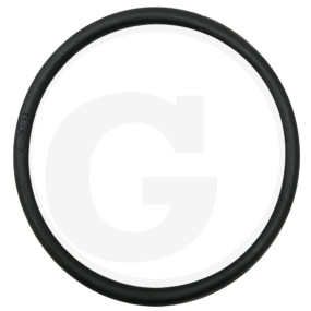 O-Ring 228 166,7X6,99 6'' Granit 405070150004