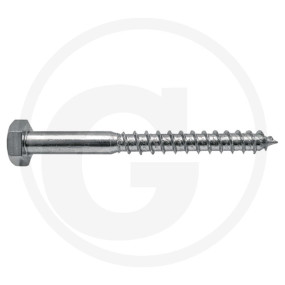 Vpe25 Din 571 M10X200 Vz Schraube Granit