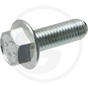 Vpe50 Din 6921 8.8 M12X80 Vz Schraube Granit